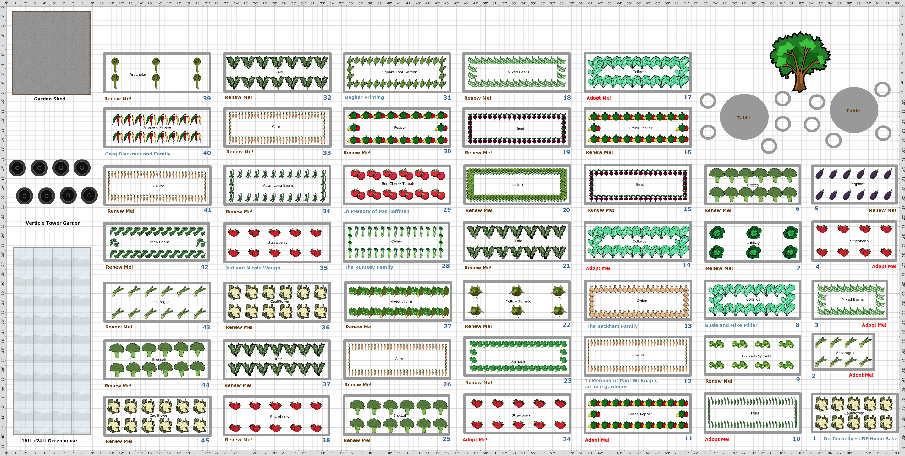 Garden Plan - October Layout