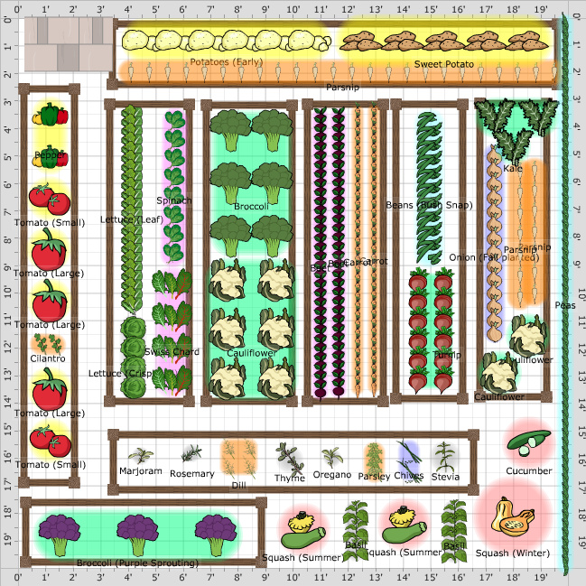 Garden Plan - 2016: Deb's Garden
