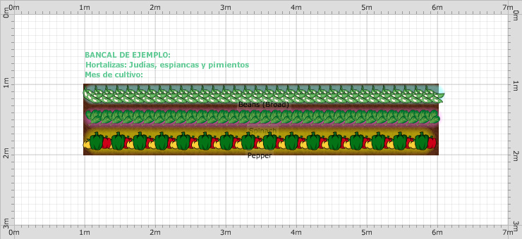 Garden Plan - Organización del huerto