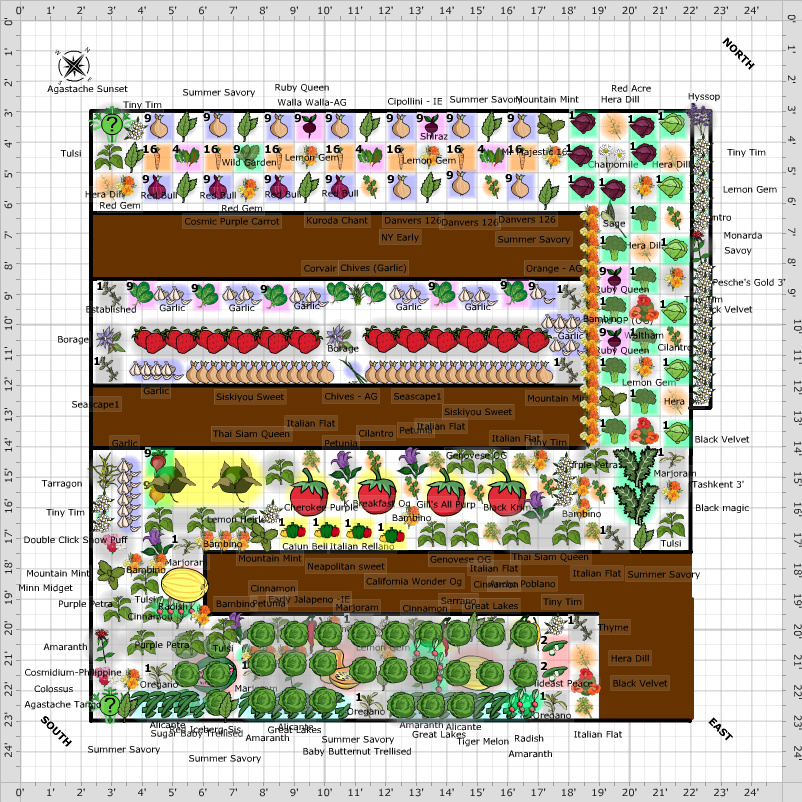 Garden Plan - 20 x 20 replacing 10 x 20