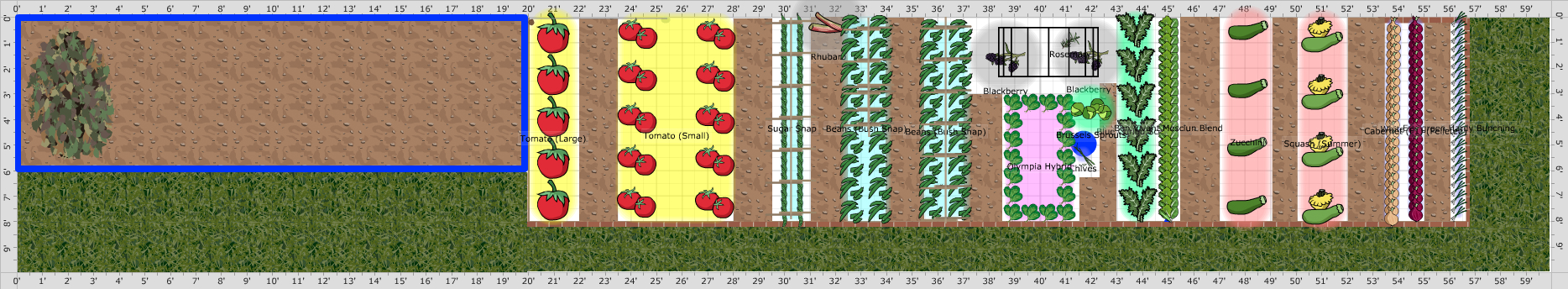 Garden Plan - 2016: Vegetable Garden