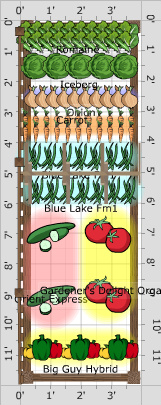 Garden Plan - 2016: Garden1