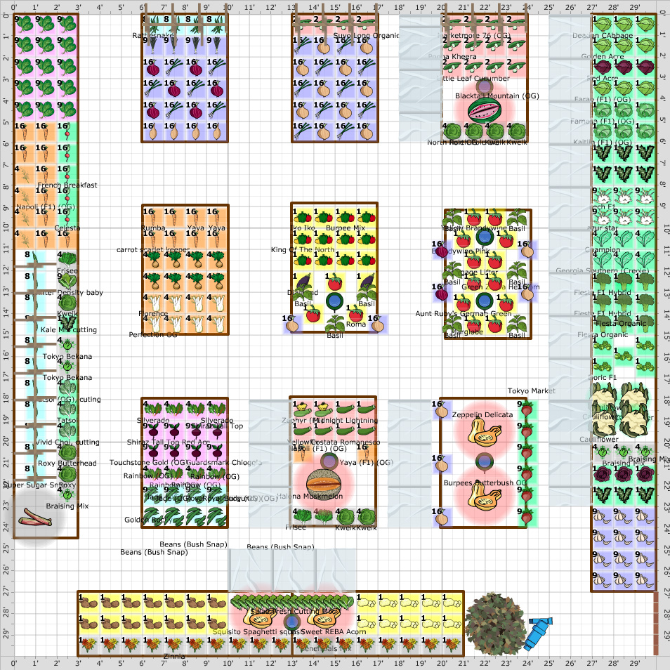 Garden Plan - Town Plot #1 sq ft