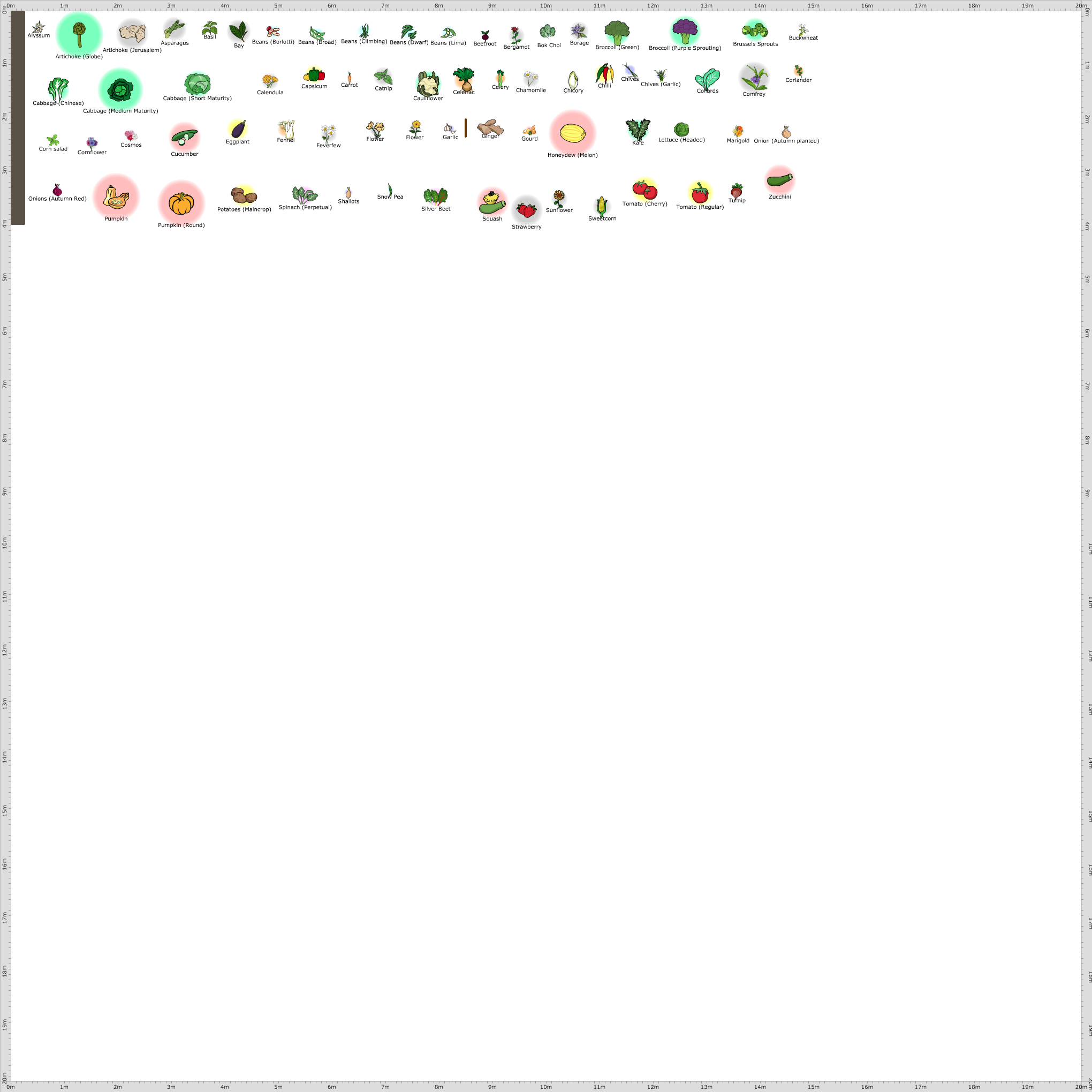 Garden Plan - 2015: Davids Veg Patch