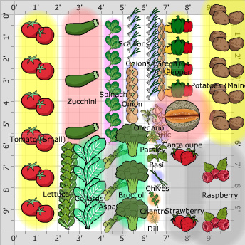 Garden Plan - 2016: lindas garden