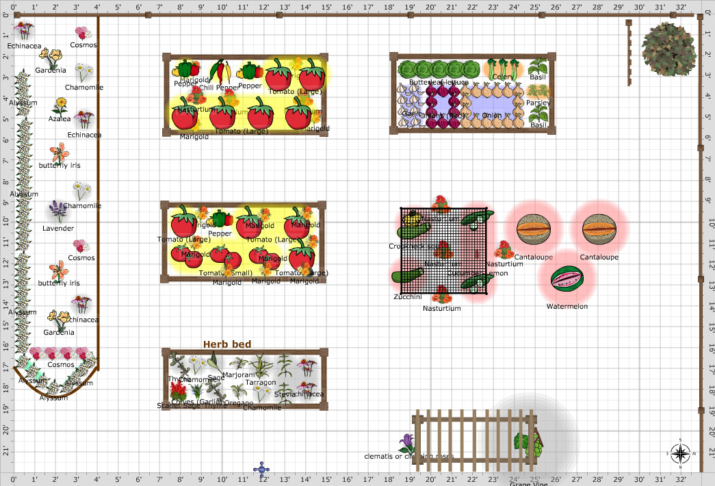 Garden Plan - Spring Vegies