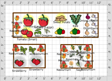 Garden Plan - 2016: Natalie's First Garden