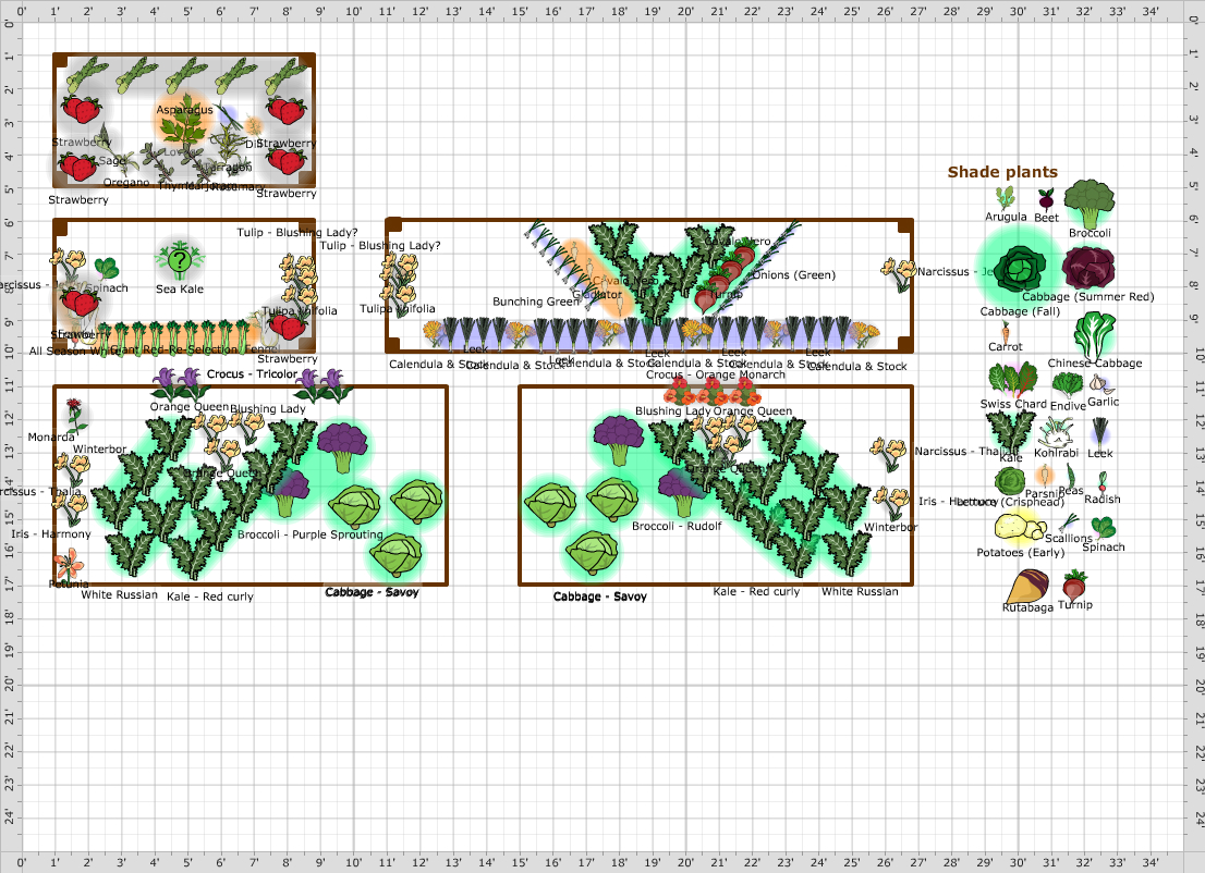 Garden Plan - 2016: Kitchen Garden