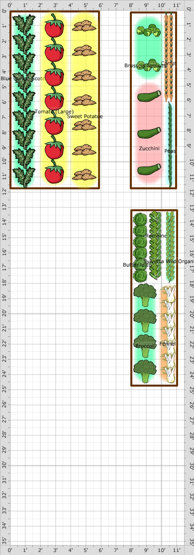 Garden Plan - 2016: first garden