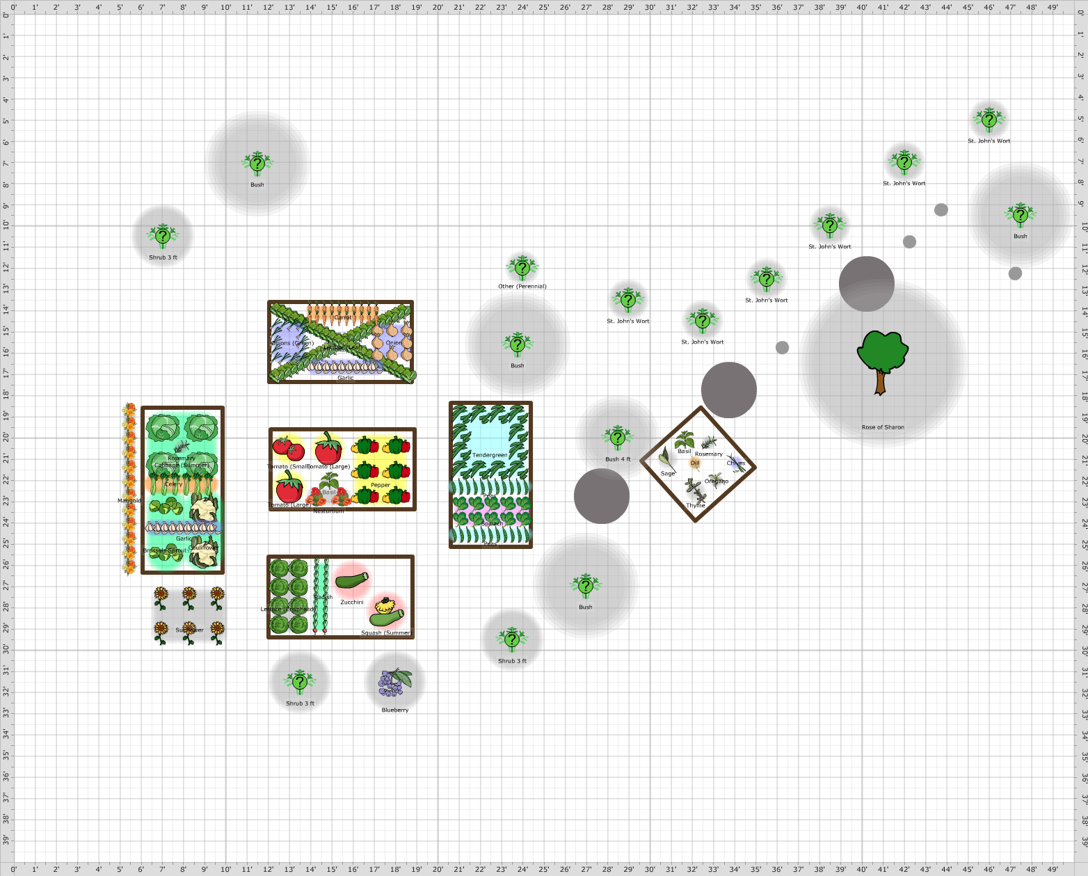 Garden Plan - 2016: Garden