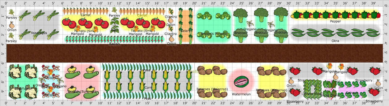 Garden Plan - 2016: Bare Revised