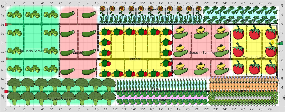 Garden Plan - 2016: Backyard Vegetable Garden