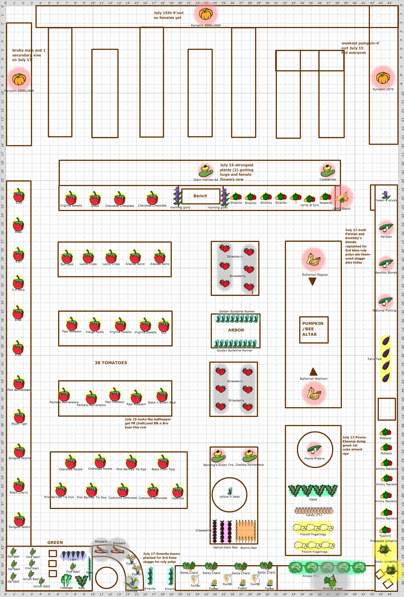 Garden Plan - MAIN GARDEN