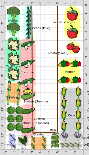 Garden Plan - 2016: Shelby 1