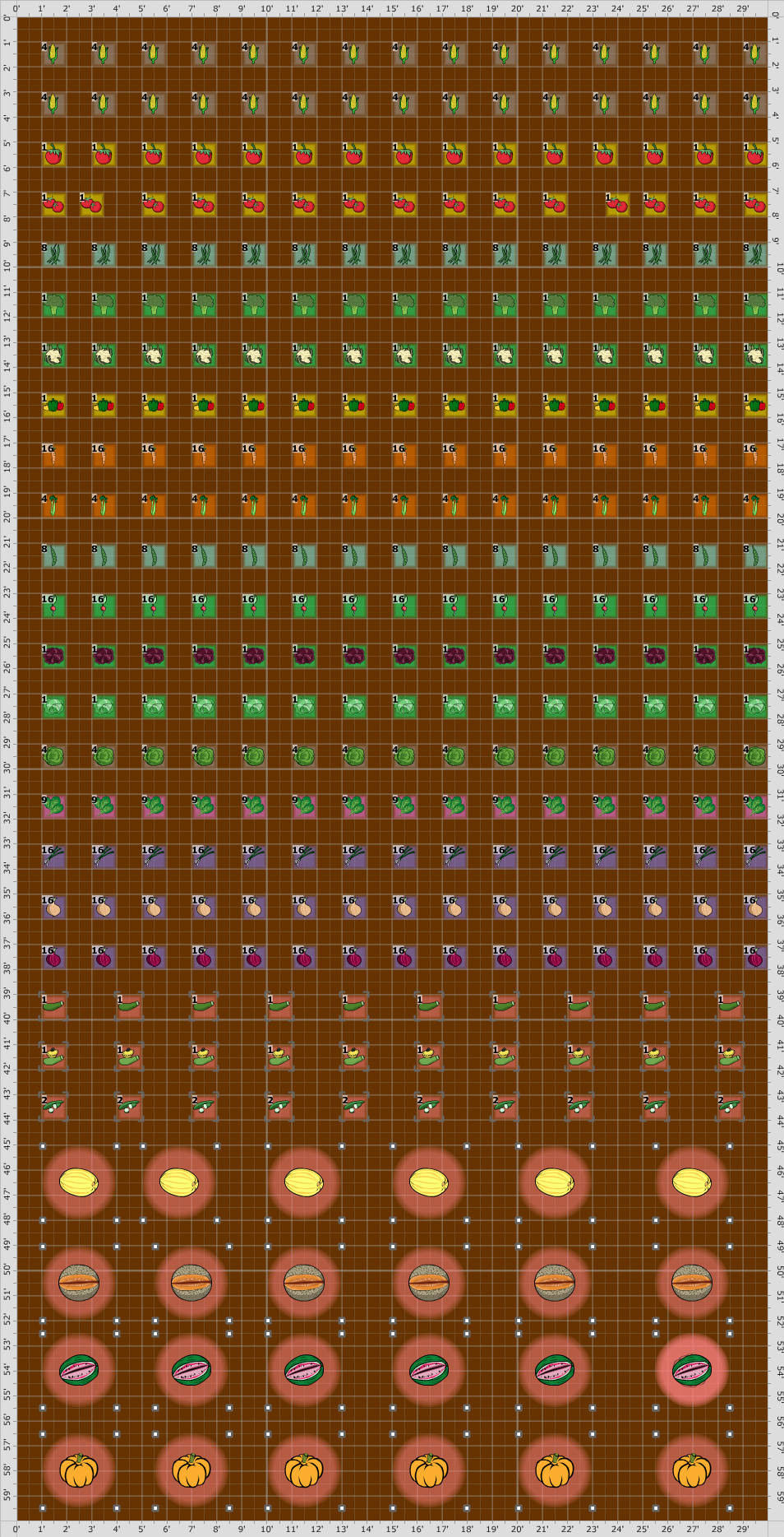 Garden Plan - 2016: Our First