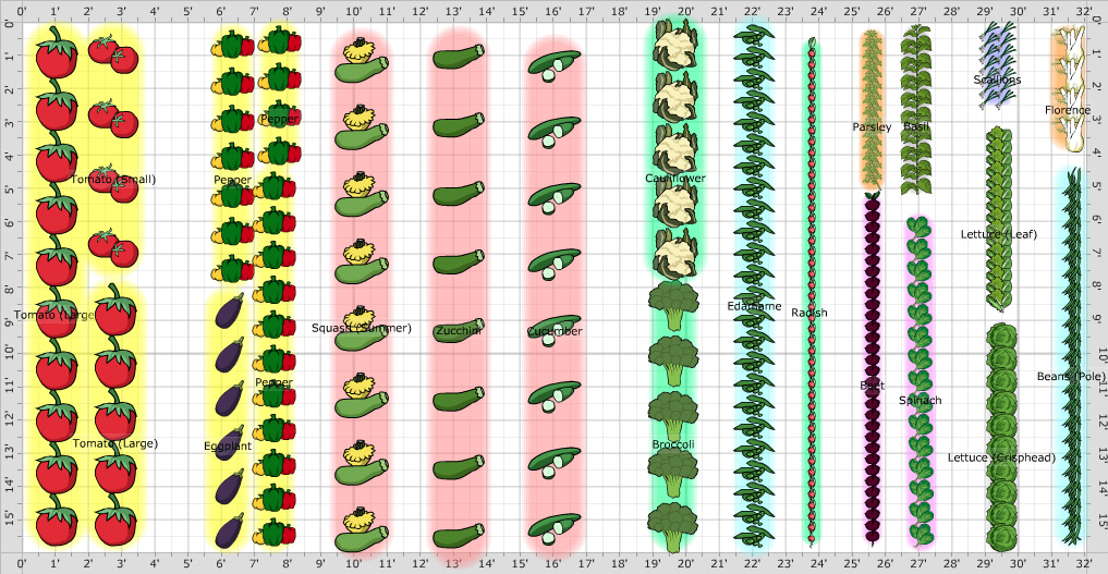 Garden Plan - 2016: Charlene & johns garden