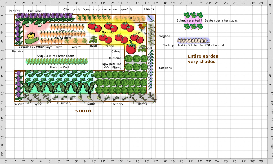 Garden Plan - 2016: Crystal Johns
