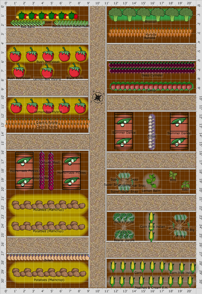 Garden Plan - 2016: first garden