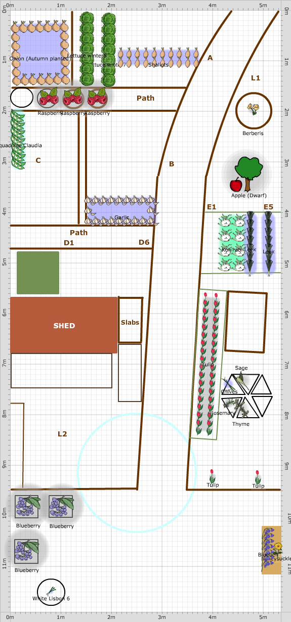 Garden Plan - 2017: Back