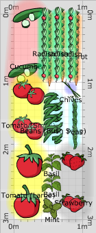 Garden Plan - dundonald