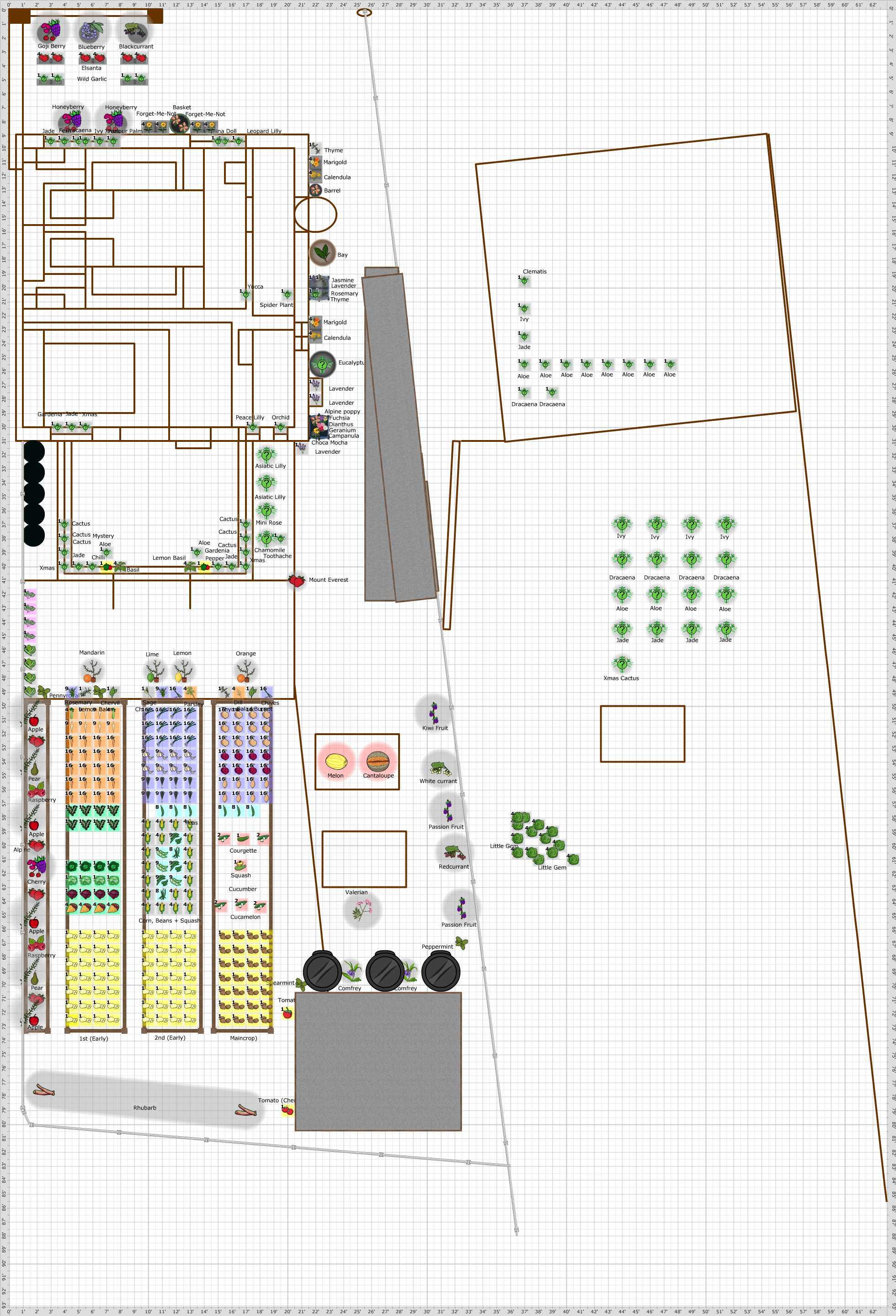 Garden Plan - 2017: Shirehampton - Back Garden