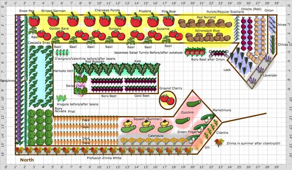 Garden Plan - 2017: Scannell1