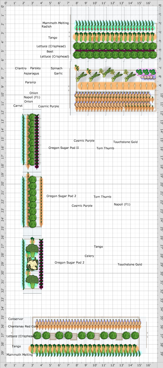 Garden Plan - 2018: beds January