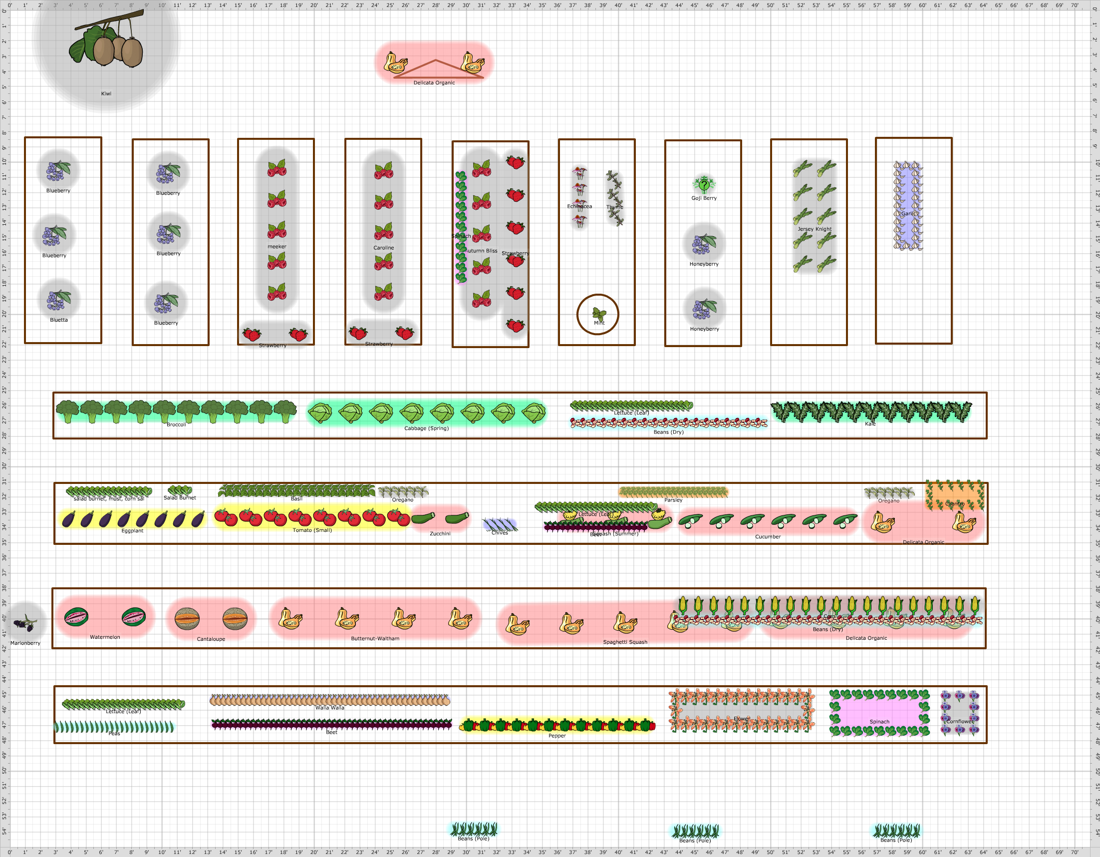 Garden Plan - 2017: 22402 main garden