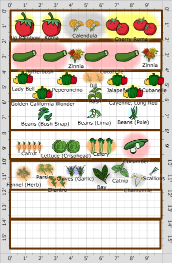 Garden Plan - 2017: 1