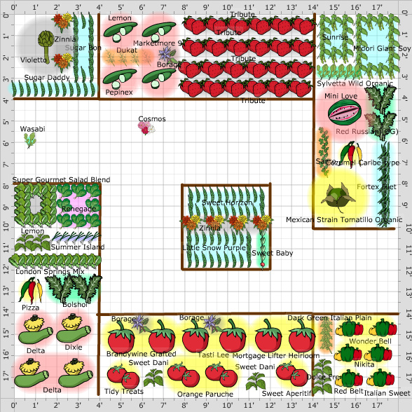 Garden Plan - Vegetable Garden