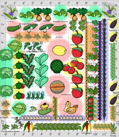 Garden Plan - 2017: vegetable plot