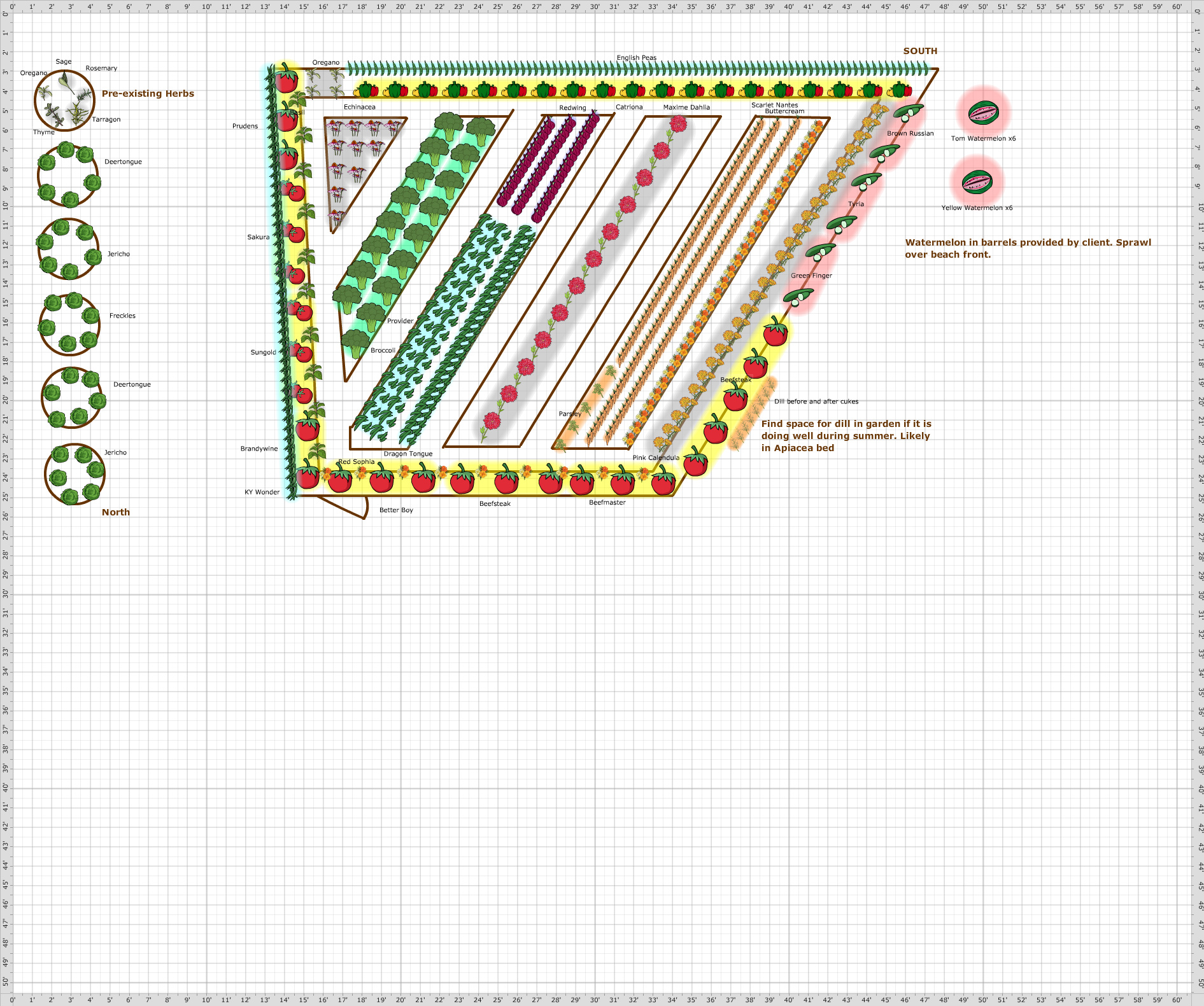 Garden Plan - 2017: Tane