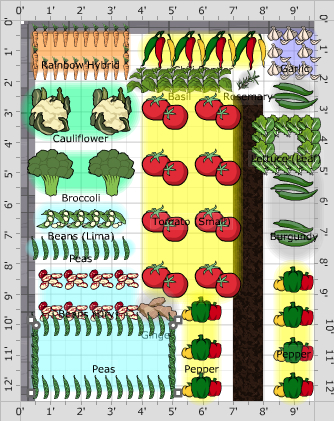 Garden Plan - 2017: Main Veg Garden