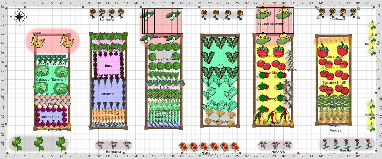 Garden Plan - 2017: New Garden