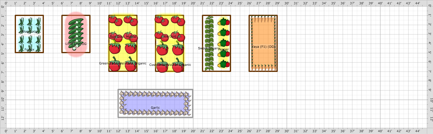 Garden Plan - 2017: Raised Beds