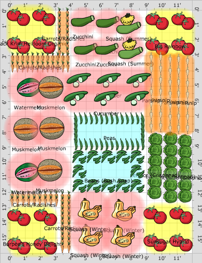 Garden Plan - 2017: Main Plot