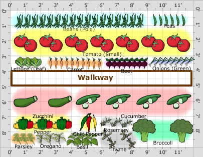 Garden Plan - 2017: Justin and Heathers first garden