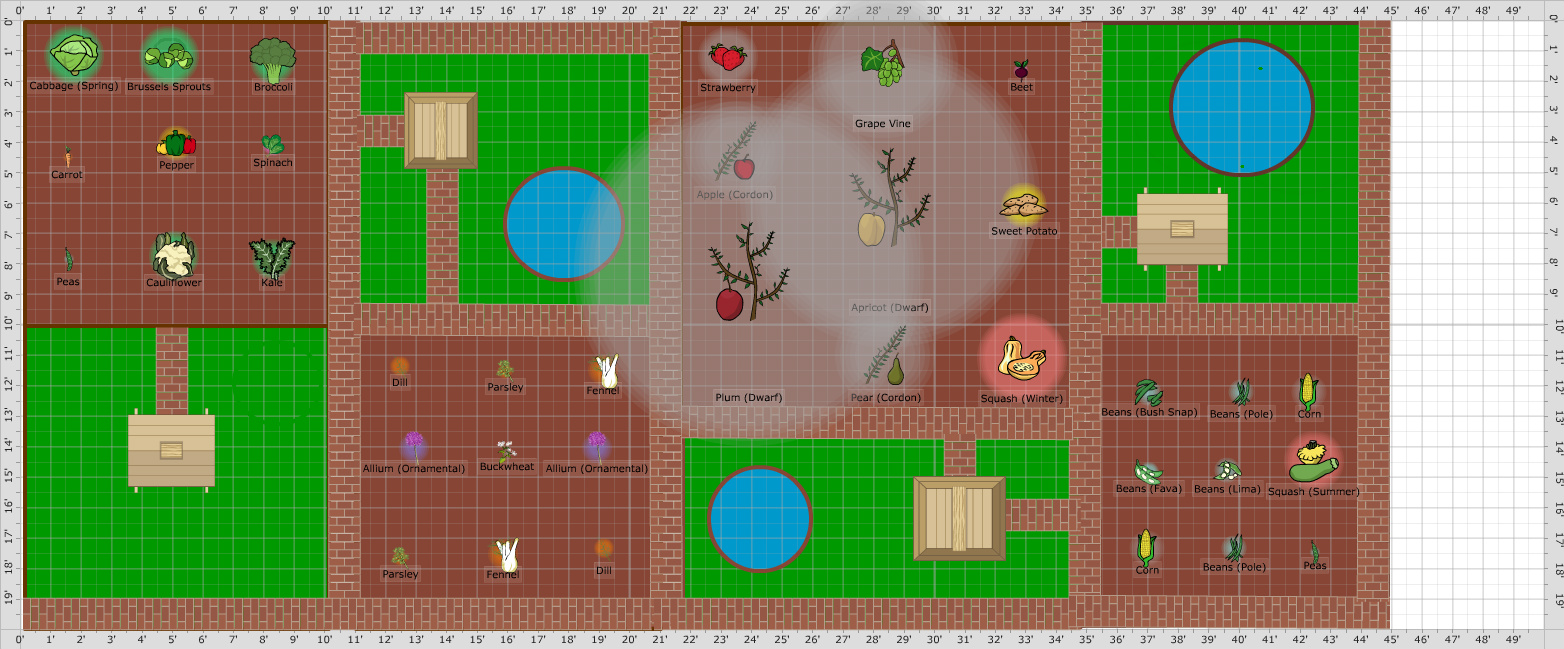 Garden Plan - 2018: Garden