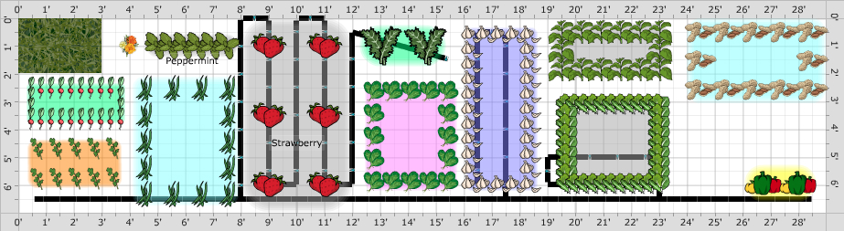 Garden Plan - 2018: Main Bed