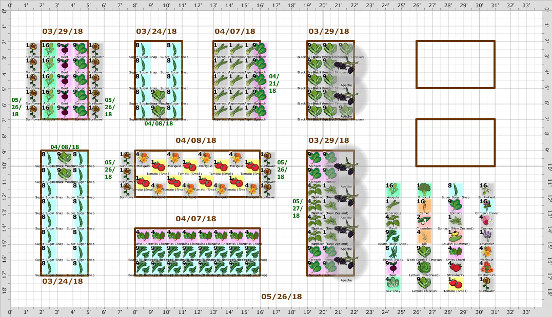 Garden Plan - 2018: dgflynn