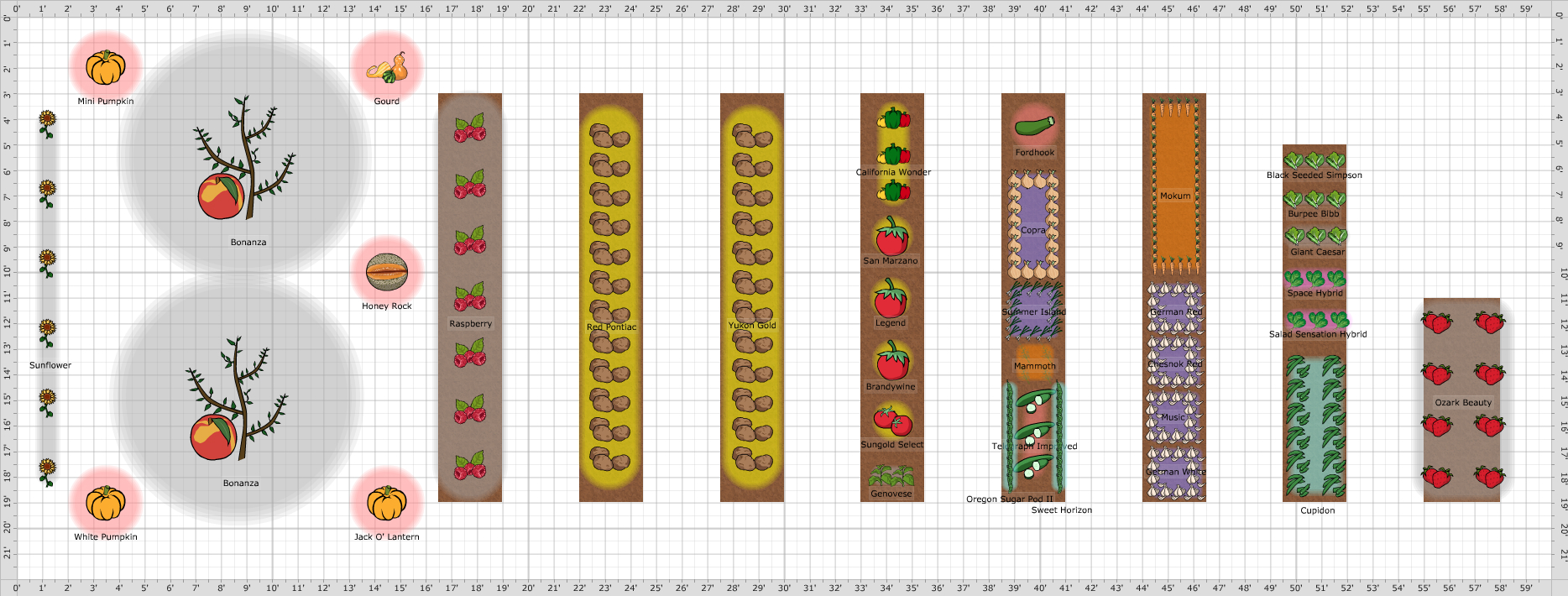 Garden Plan - 2019: Garden