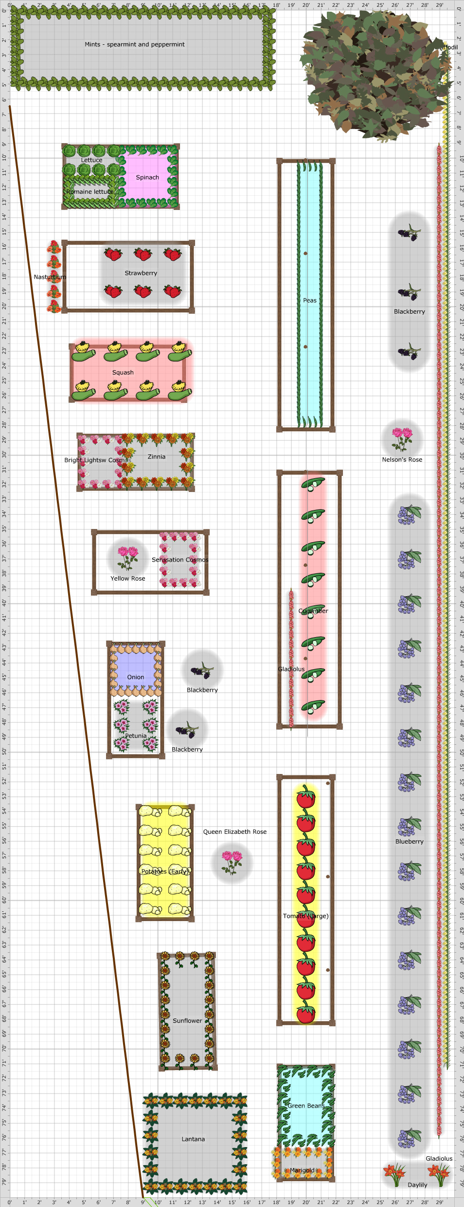 Garden Plan - 2018: flowers and veggies
