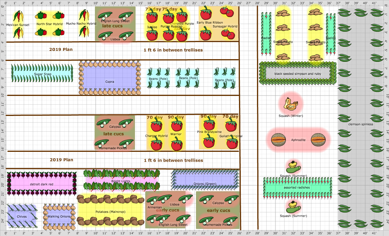 Garden Plan - 2019: jmorris