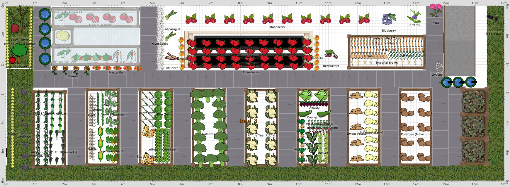 Garden Plan - 2019: B43X PLOT PLAN