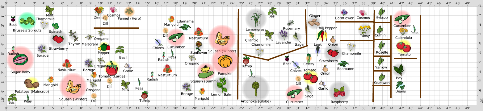 Garden Plan - 2019: Garden
