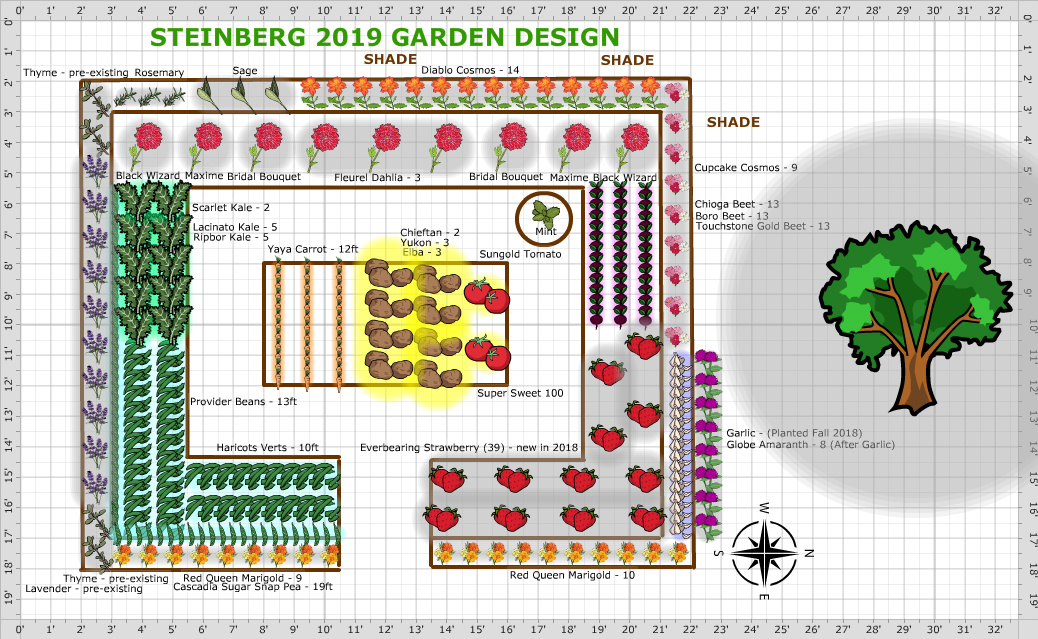 Garden Plan 2019 Steinberg