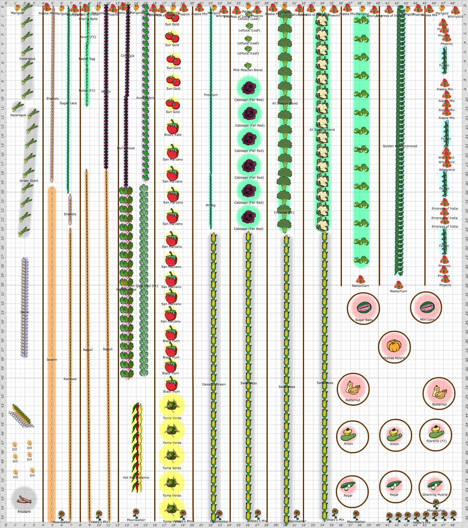 Garden Plan - 2019: Garden